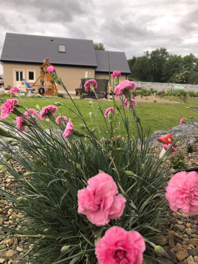 Villa Tir Na Spideoga Ennis Exterior foto